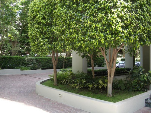 Imagen 8 de 17 de Departamento - Belgrano Barrancas