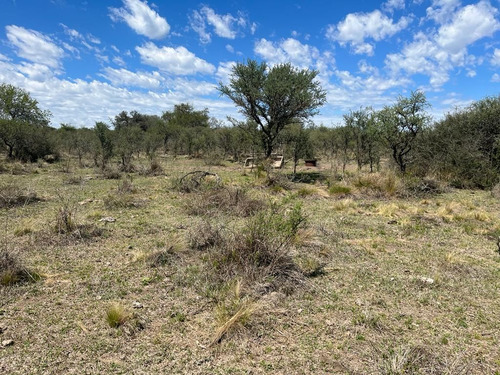 Venta Campo Villa Quillinzo (40 Hectareas) Ideal Para Loteo