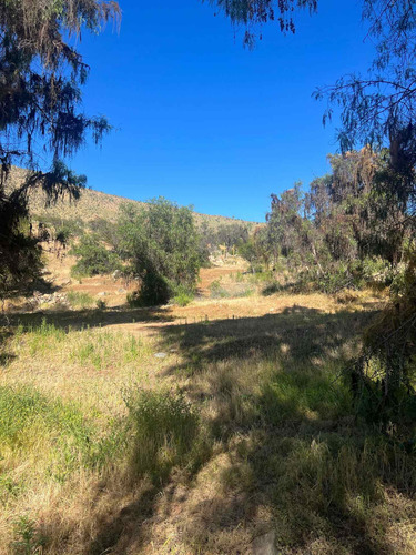 Terreno Punitaqui, Ovalle