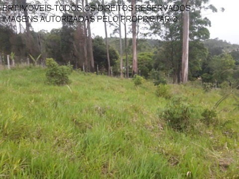 Imagem 22 de 22 de Terreno - Te00125 - 34466729