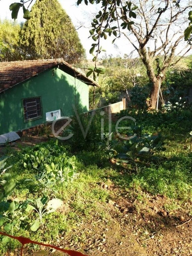 Chácara À Venda Em Vila Saltinho - Ch003093