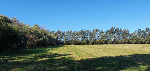 Imagen 2 de 13 de Venta Chacra 6,5 Hectareas Sobre Luis Batlle Berres