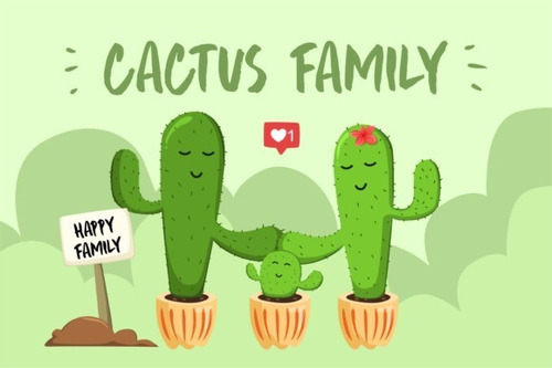 Kit Imágenes Digitales Cactus Familia 1701088