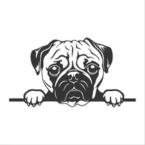Comprar Perro Pug Asomándose Calcomanía Sticker Negro Cajuela Auto