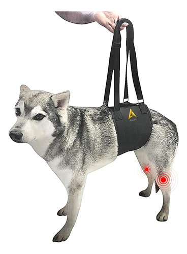 Agon Canine Dog Sling Carrier Soporte Patas Traseras Arnés D