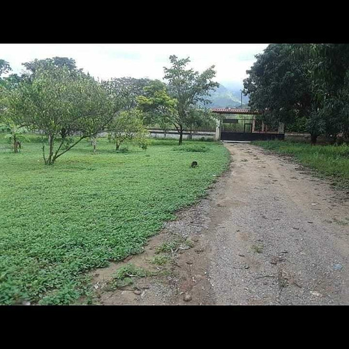 Imagen 4 de 9 de Finca En Venta San Diego