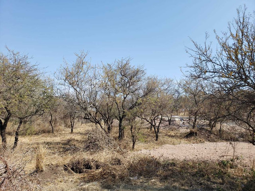 Imagen 1 de 2 de Terreno Venta Mendiolaza Golf