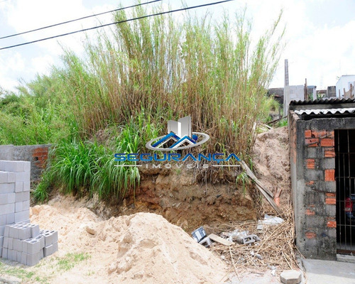 Imagem 5 de 5 de Terreno Vila Alberto Simões 415 M² - Te00243 - 32804970