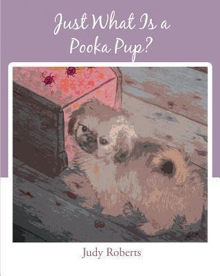 Libro Just What Is A Pooka Pup? - Judy Roberts