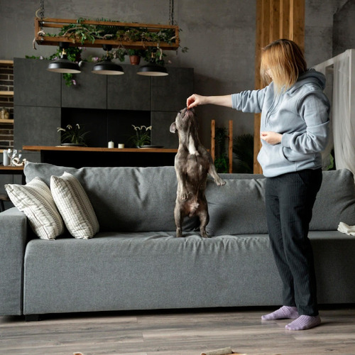 Kit De Entrenamiento Para Perro (silbato Y Clicker)