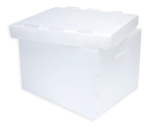 Imagen 1 de 3 de Caja Para Archivo Muerto T/ Carta Plástico Corrugado C/10