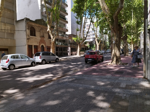 Imagen 14 de 14 de Venta Apartamento 1 Dormitorio Pb Entrada Independiente