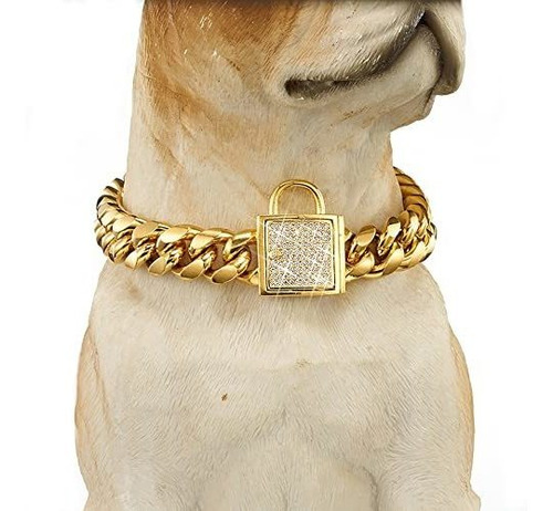 Collar De La Cadena De Perros De Oro Con Zirconia 4syfg