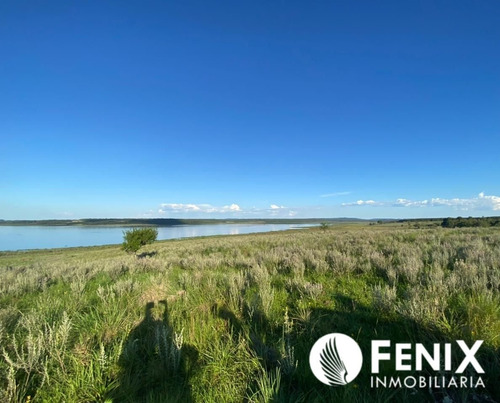 Imagen 6 de 7 de Tf427 Hectareas Con Vista Al Río Z/garupa