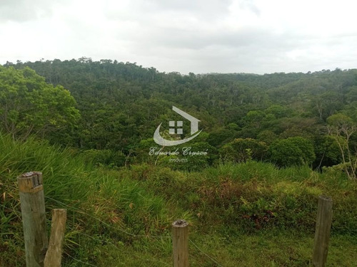 Imagem 18 de 29 de Fazenda, Venda, 17,4 Hectares, Camaçari, Excelente Oportunidade! - Te0021