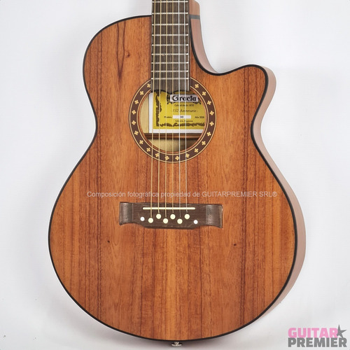 Imagen 6 de 10 de Guitarra Acustica Corte Gracia 340 Media Caja Cuerdas Metal