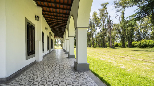 Campo 16ha, 2 Cascos, 1 Casa, Molino Lujan Venta