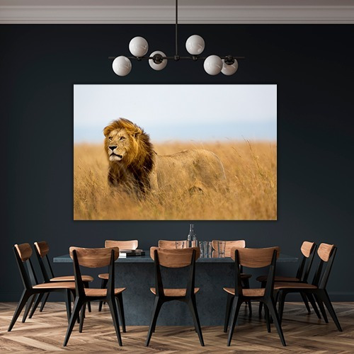 Cuadro Decorativo Animales Canvas Leon Poderoso Felino