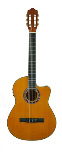 Guitarra Electroacústica Deviser L320-kl, Profesional, Funda