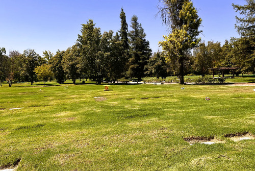 Nicho Con Capacidad Para 4 Personas Del Parque Del Recuerdo