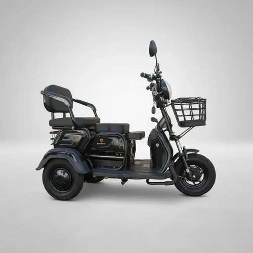 Triciclo Elétrico Cadeira Recarregável Adulto Idoso 600w Cor Pret...