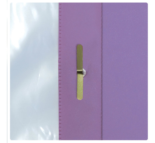 Pasta Catalogo Pvc Lilás A5 C/50 Envelopes E 2 Colchetes