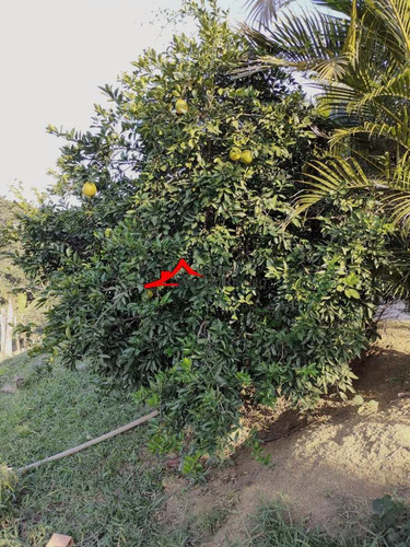 Imagem 29 de 30 de Terreno, Mato Dentro, Tremembé - R$ 450 Mil, Cod: 60140 - V60140