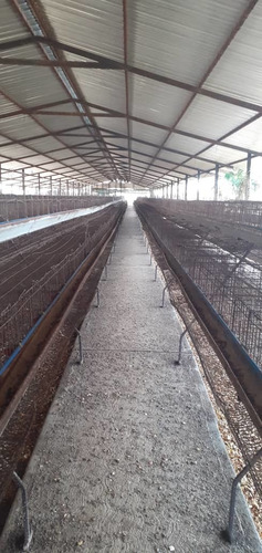 Imagen 3 de 13 de Venta Finca Avicola En Anzoategui
