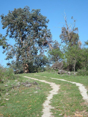 Imagen 5 de 13 de Venta Campo - Villa Del Dique, Valle De Calamuchita
