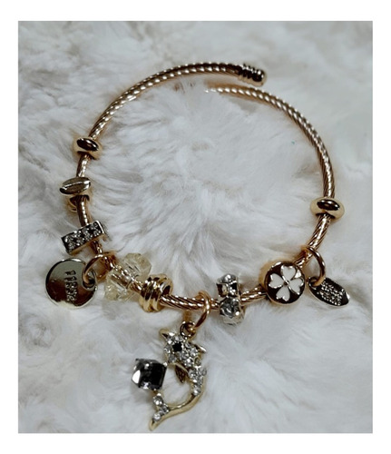Pulsera Ajustable Con Dijes De Platino Joyería Mujer