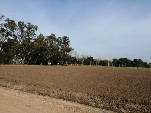 Imagen 5 de 9 de Exc Lotes En Barrio Las Perdices - 400 A 600 M² - Lobos