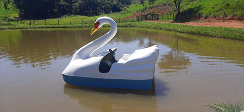 Pedalinhos Cisne De Fibra De Vidro