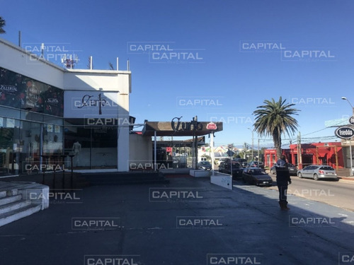 Imagen 4 de 11 de Locales Comerciales En Venta Con Buena Renta - La Barra La Barra