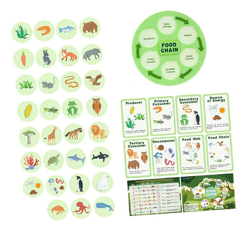 Ciclo De Vida Da Cadeia Alimentar Kit Party Favors Science