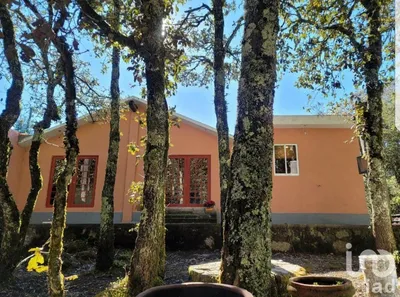 Rancho en venta