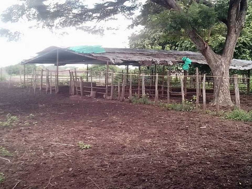 Imagen 11 de 26 de Finca En Venta ,calabozo Guarda Tinajas