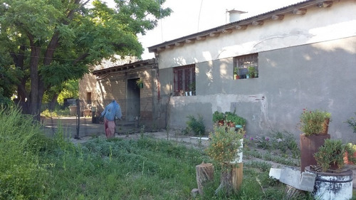 Imagen 3 de 14 de Finca En Las Paredes - 10 Hectareas 1º Regante