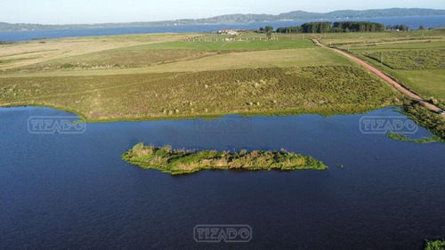 Imagen 4 de 5 de Chacra Lote Chacras De La Laguna Terreno Campo En Venta Ubicado En Laguna Del Sauce, Punta Del Este, Punta Del Este / Maldonado