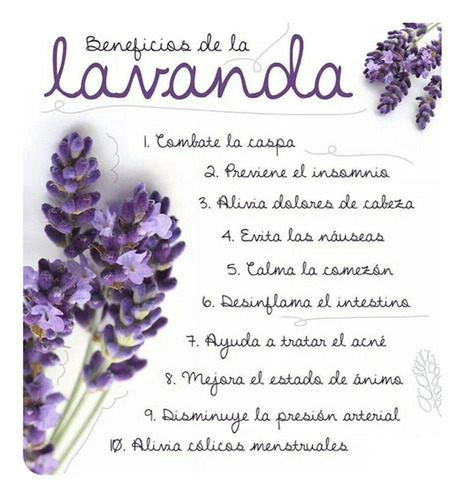 Flor Lavanda Seca 100grs (aromática)