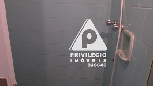 Apartamento Para Aluguel, 1 Quarto, Laranjeiras - Rio De Janeiro/rj - 29489