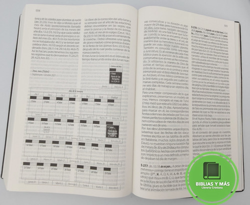 Imagen 7 de 9 de Biblia Textual Iv Edición Vinil Negro