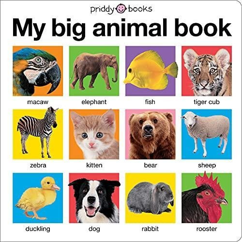 My Big Animal Book - (libro En Inglés)