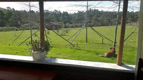 Chacras Alquiler Temporal 3 Dormitorios Piriápolis