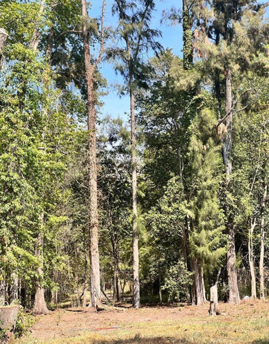 Terreno En  Lorma Verde - A 200 Mts De Panamericana - 885 M2