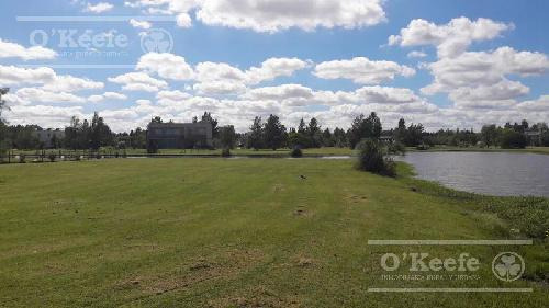 Lote En Venta De 1088 M2 Con Escritura, Fondo Laguna En Posada De Los Lagos. Brandsen