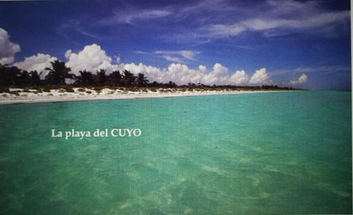 En Venta Terreno El Cuyo De 23,500 M² En Tizimin, Yucatan