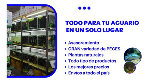 Foco Luz Led Colgante Acuario Pecera Plantados 36w Dee-100b