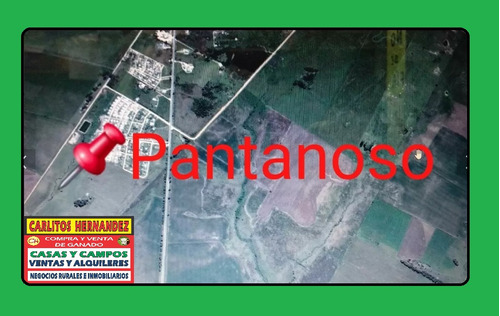 Zona Pantanoso - San  Jose Propiedades Para Venta Y Alquiler