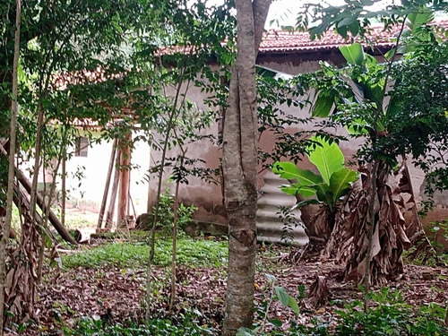 Imagem 18 de 30 de 14 Alqueires Região Angatuba Sp Com Casa Simples Bão Água Luz, Ótima Localização, 10 Km Angatuba Por Estrada Cascalhada Oportunidade... - St00037 - 68969916
