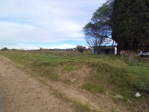 Sauce,chacra, Casas,galpones, Prox A Ruta 6, Vendo Financio